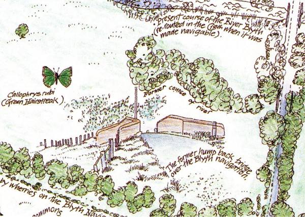 The Wenhaston Millennium Map