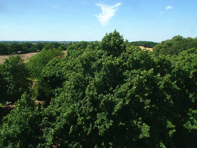 Panorama Photo