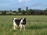 The Blyth watermeadows near Blyford Bridge with Blyford Church in the background