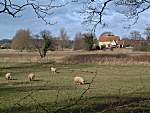 Sheep grazing by the River Blyth with Blyford Hall in the distance